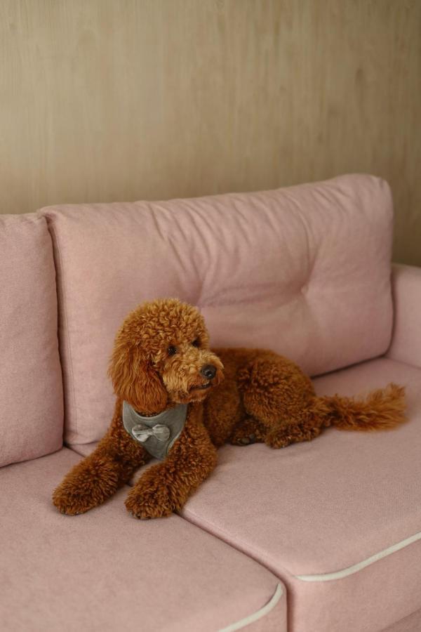 River Stone Hotel เชชอเร ภายนอก รูปภาพ